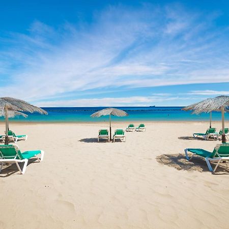 Apto Drago Holidays Daire Santa Cruz de Tenerife Dış mekan fotoğraf